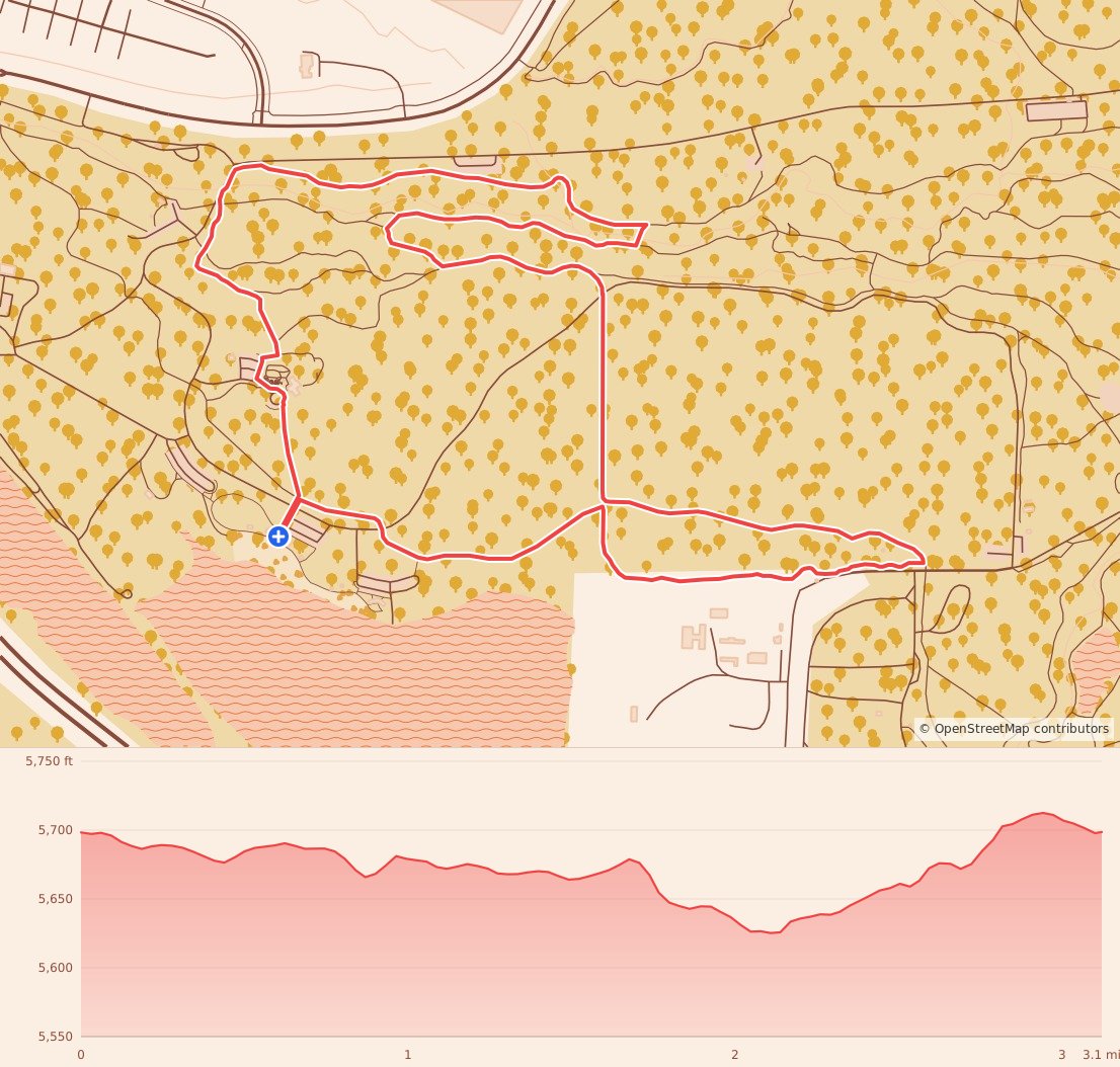 The Bear Chase Race - 5K course map and elevation profile