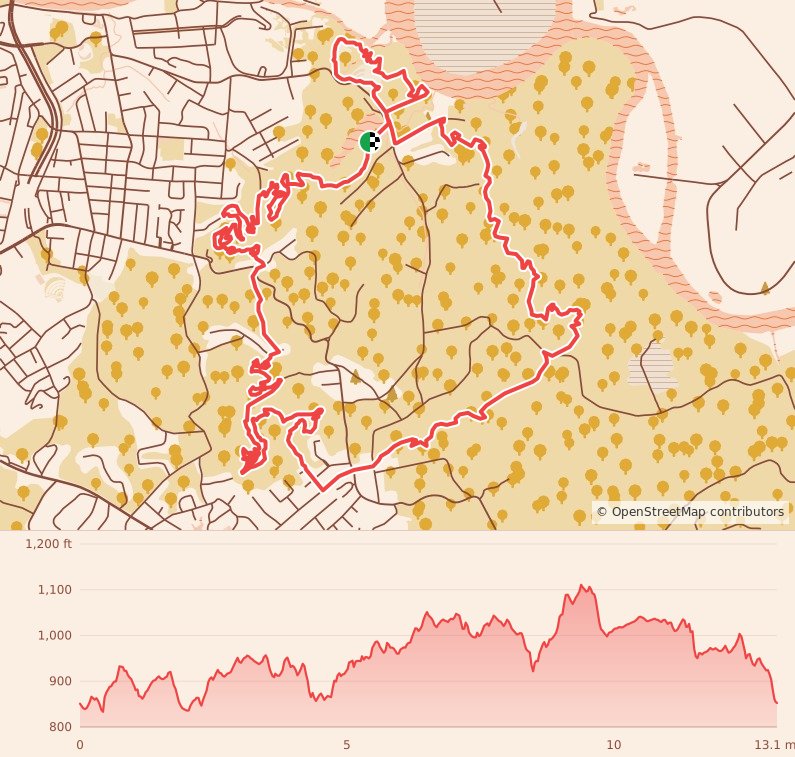 Dirty South Trail Races - Half Marathon course map and elevation profile