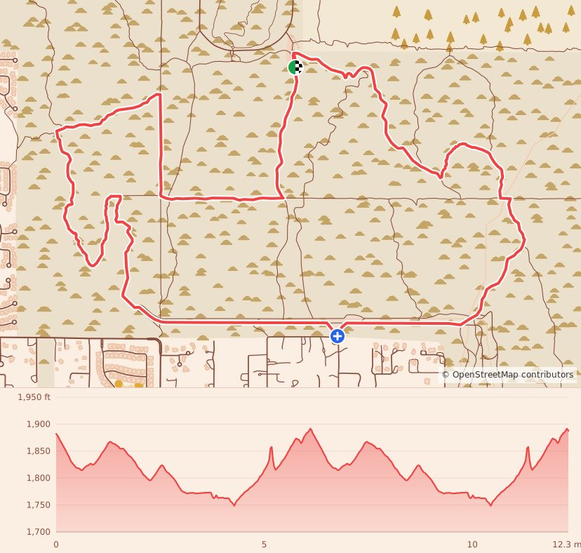 Punisher Night Trail - 20K course map and elevation profile
