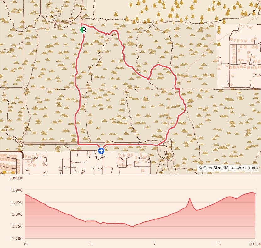 Punisher Night Trail - 5K course map and elevation profile