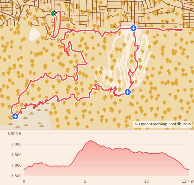 Kodiak - 21K course map and elevation profile