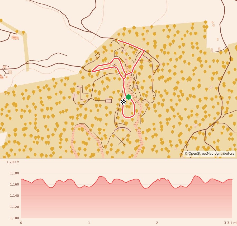 ConnectAbility's Noon New Year's Eve 5k - 5K course map and elevation profile