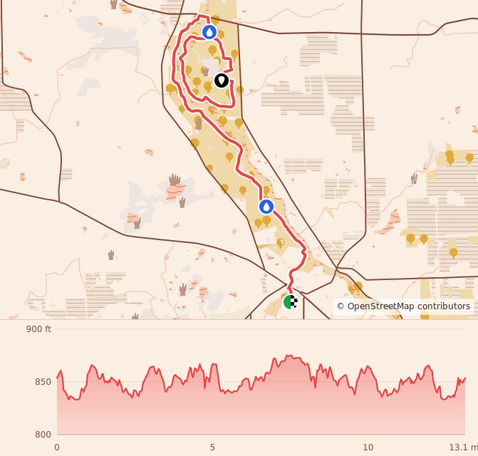 Holiday Hustle - 13.1M course map and elevation profile