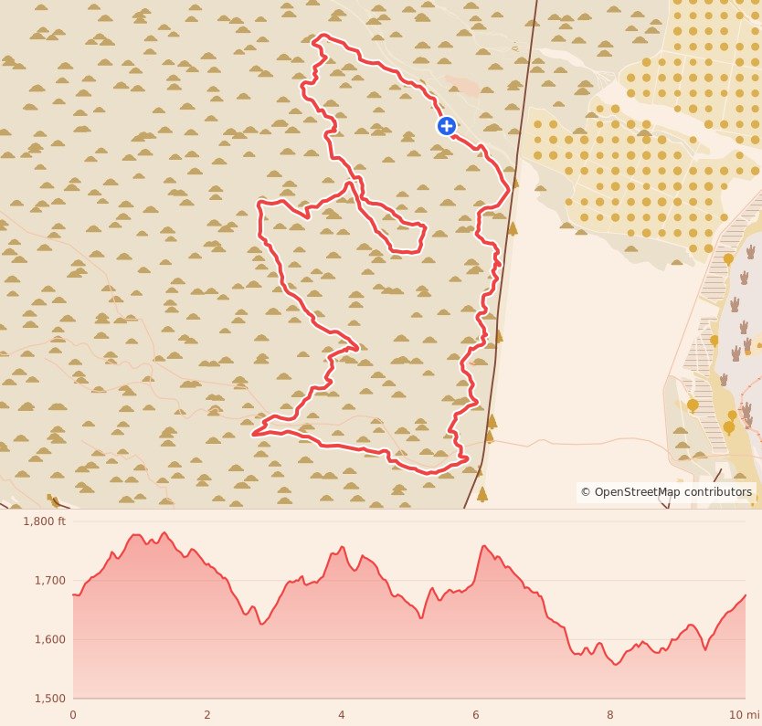 Mayhem Night Trail - 10 Mile course map and elevation profile