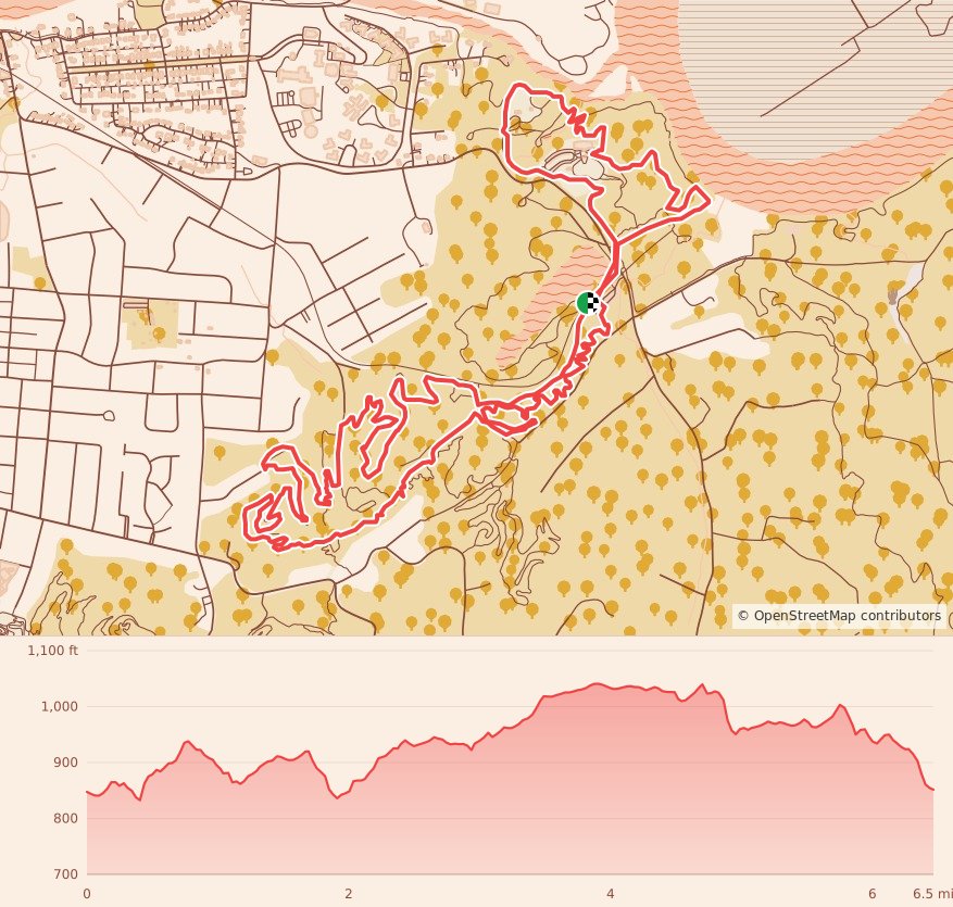 Dirty South Trail Races - 10K course map and elevation profile