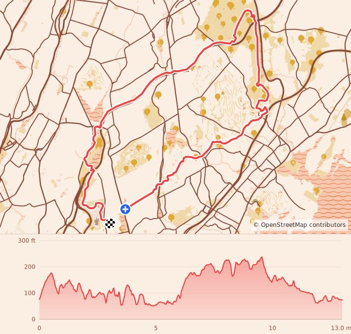 Paine to Pain - Half Marathon course map and elevation profile