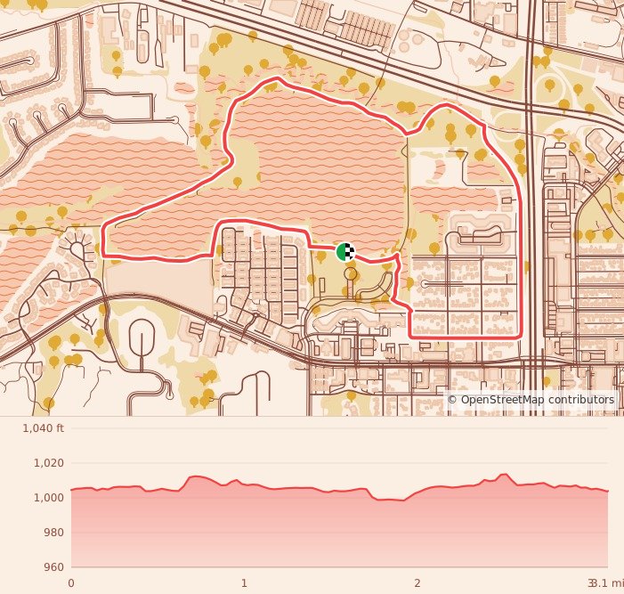 Go For the Gold Rochester benefitting Brighter Tomorrows, Inc. and Cy's Place - 5K course map and elevation profile