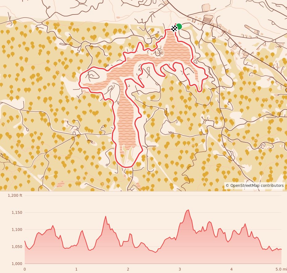 Ache Around the Lake - 8K course map and elevation profile