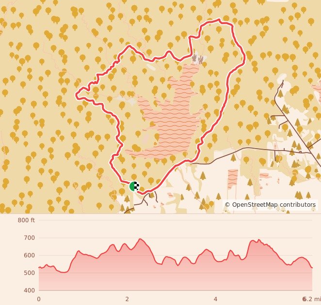 Deam Lake Winter Warrior - 6 Miles course map and elevation profile