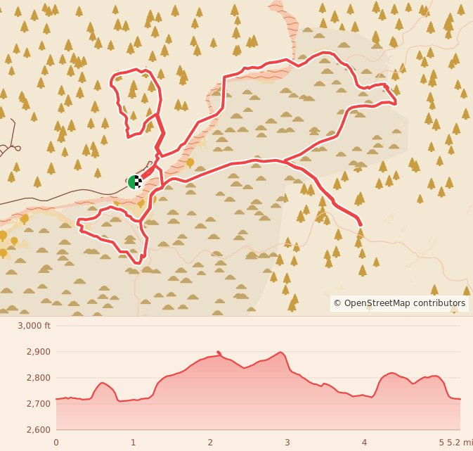 Veterans Day Catalina State Park Trail Races - 5.3 Mile course map and elevation profile
