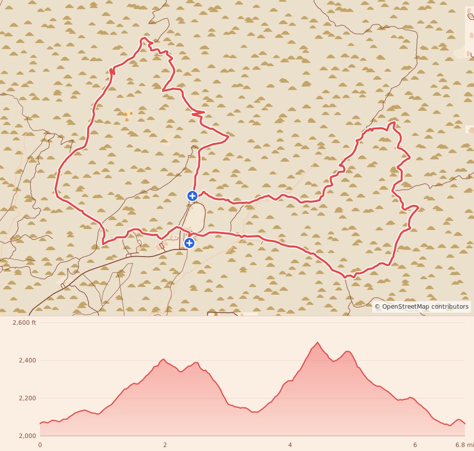 Thrasher Night Trail - 11K course map and elevation profile