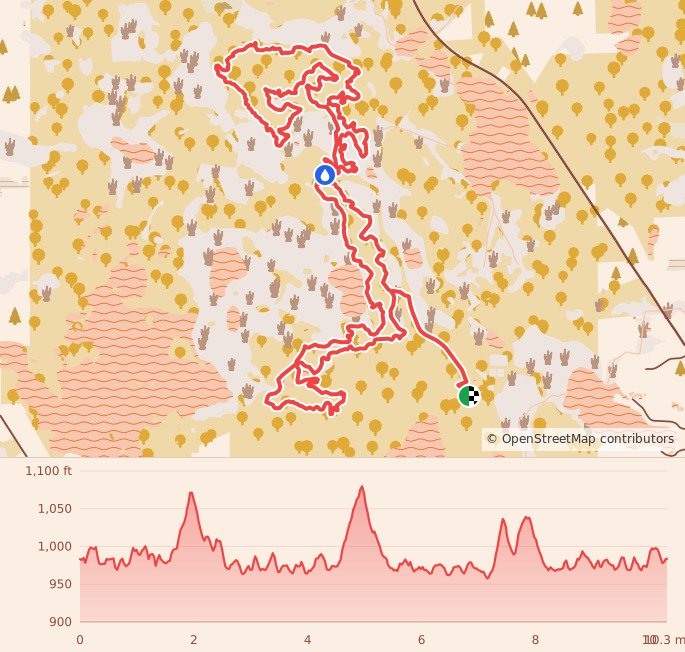 Bonfyre Trail Fest - 10M course map and elevation profile