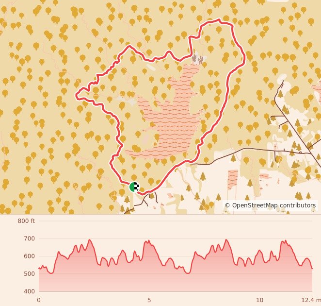 Deam Lake Winter Warrior - 12 Miles course map and elevation profile