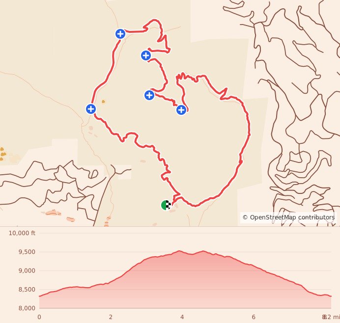 Sawmill Trail Runs - 8 Miles course map and elevation profile