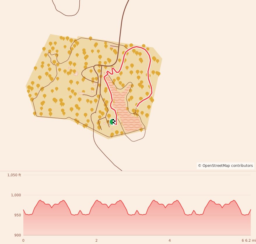 Gobbler 5K, 10K & 13.1M at Richmond, KY - 10K course map and elevation profile