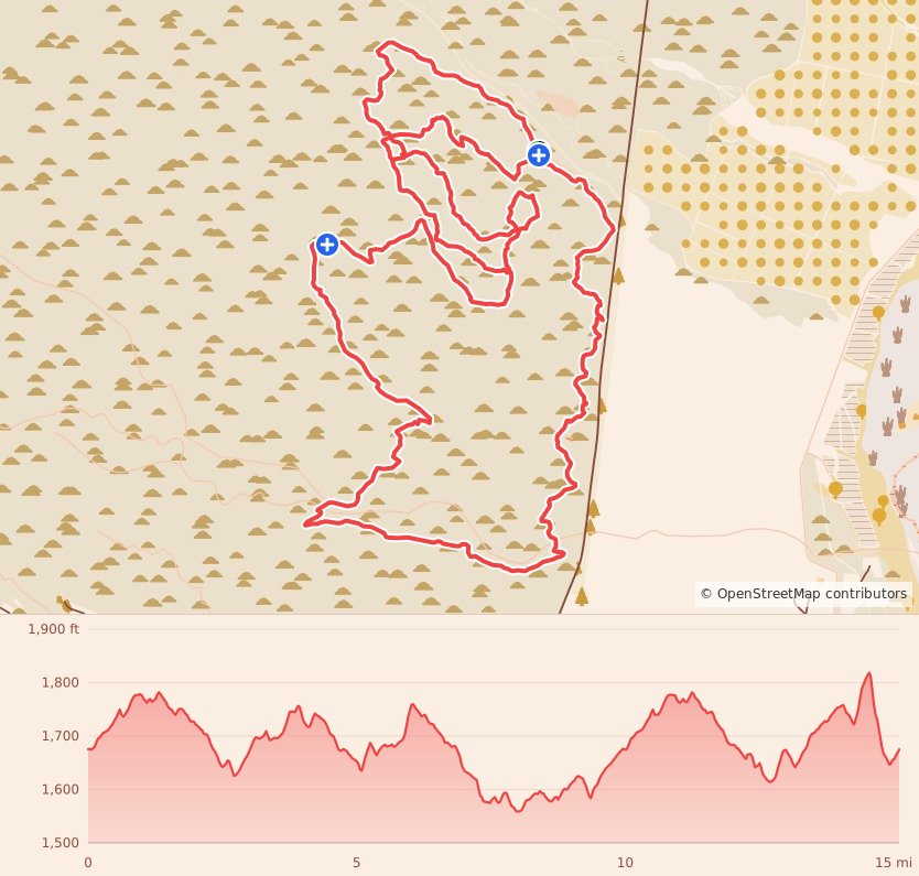 Mayhem Night Trail - 25K course map and elevation profile
