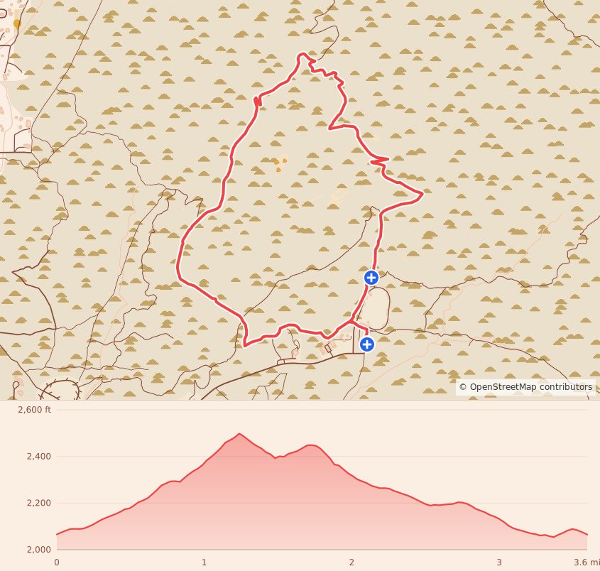 Thrasher Night Trail - 5K course map and elevation profile