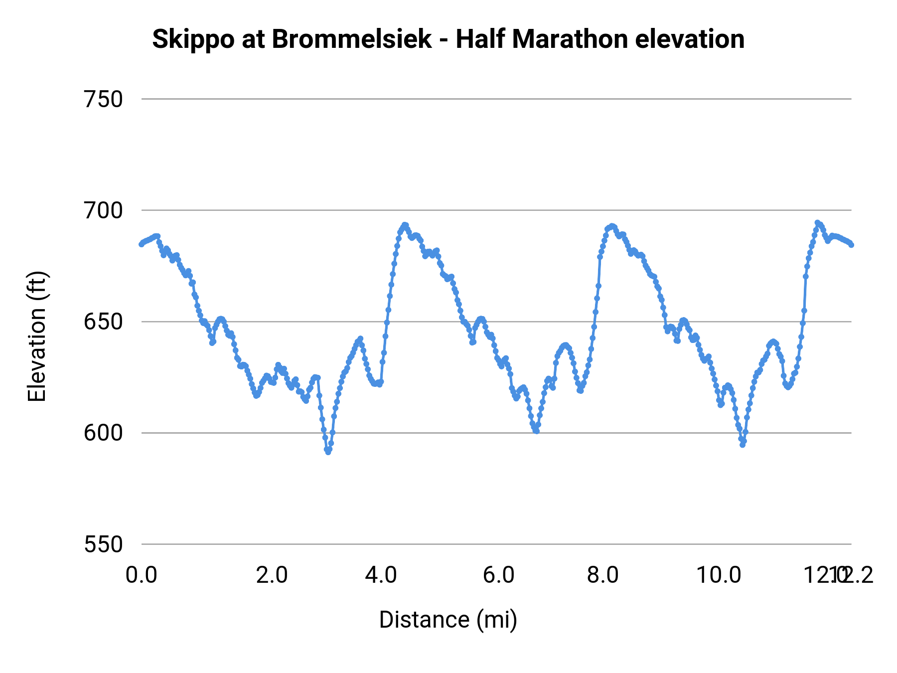 Skippo at Brommelsiek - Half Marathon elevation profile