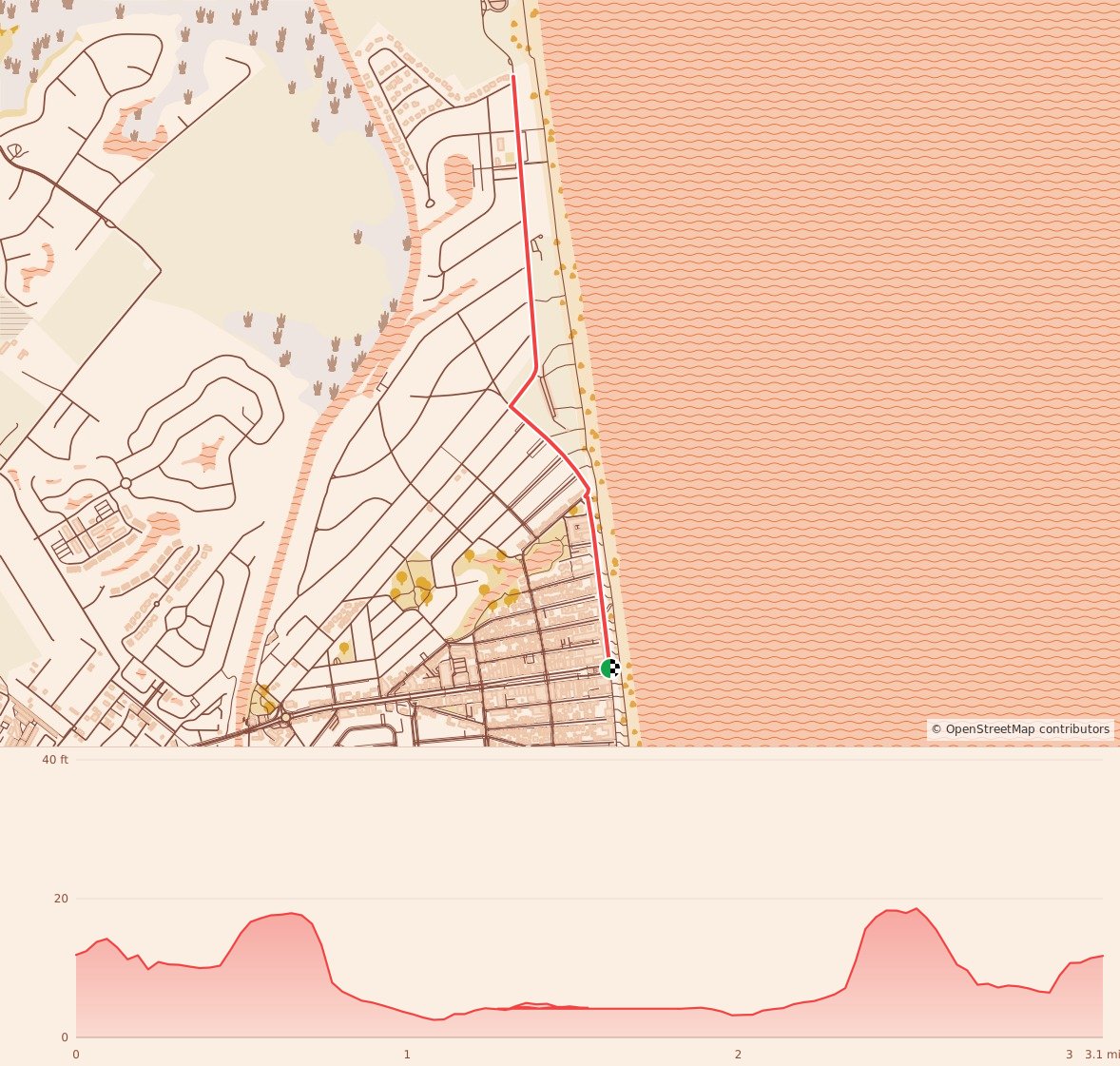 Race into the New Year 5k & 1/4 Mile Fun Dash - 5k Run/Walk course map and elevation profile