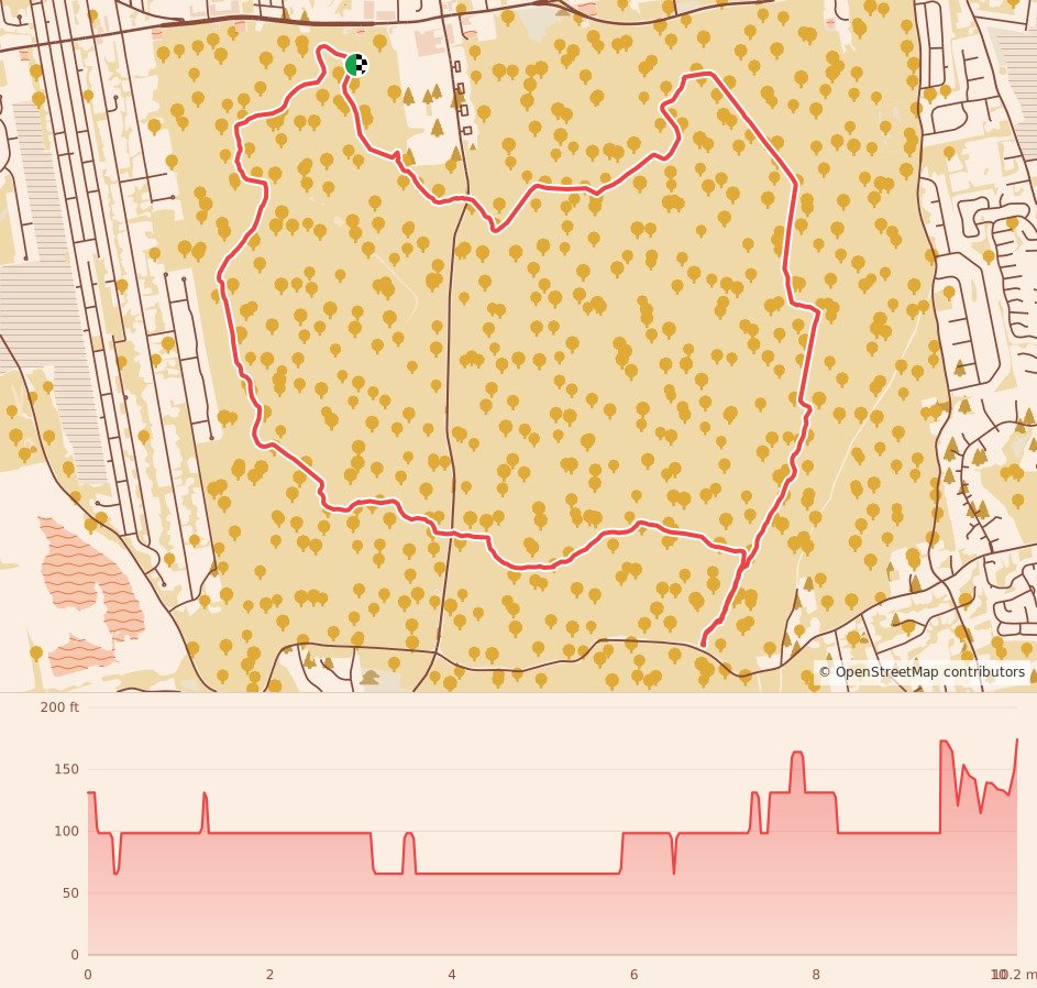 Tesla Hertz Run - Loop course map and elevation profile