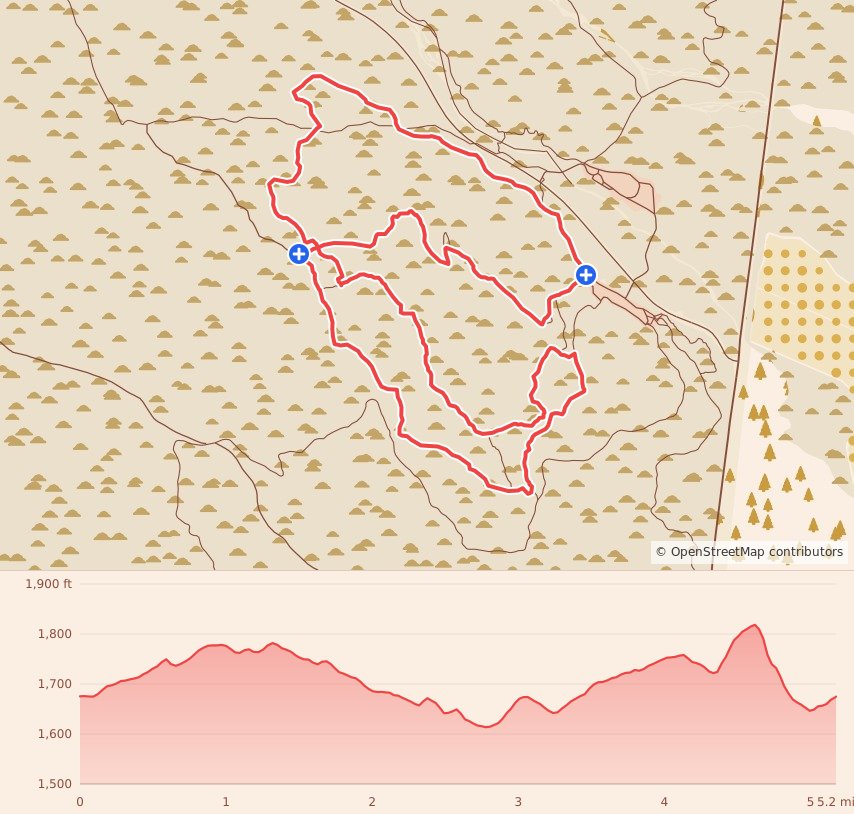 Mayhem Night Trail - 5 Mile course map and elevation profile