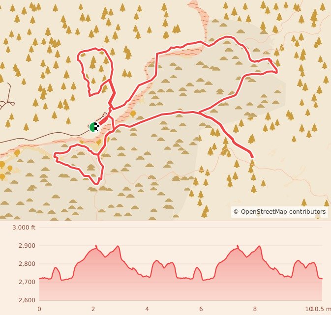 Veterans Day Catalina State Park Trail Races - 10.6 Mile course map and elevation profile