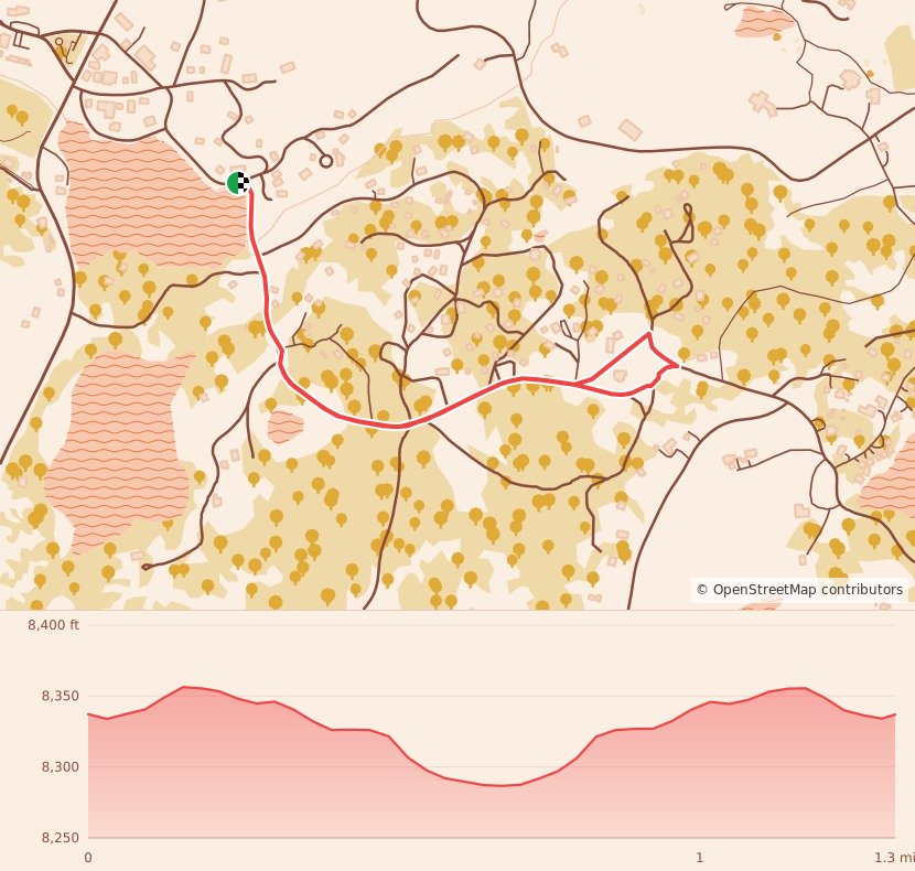 Onesie Dash AND Mini Dash - 1 Mile course map and elevation profile