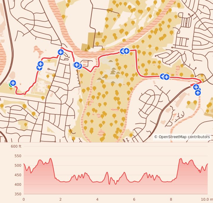 Nashville Turkey Trot 10 Mile and 5K - 10 Miles course map and elevation profile