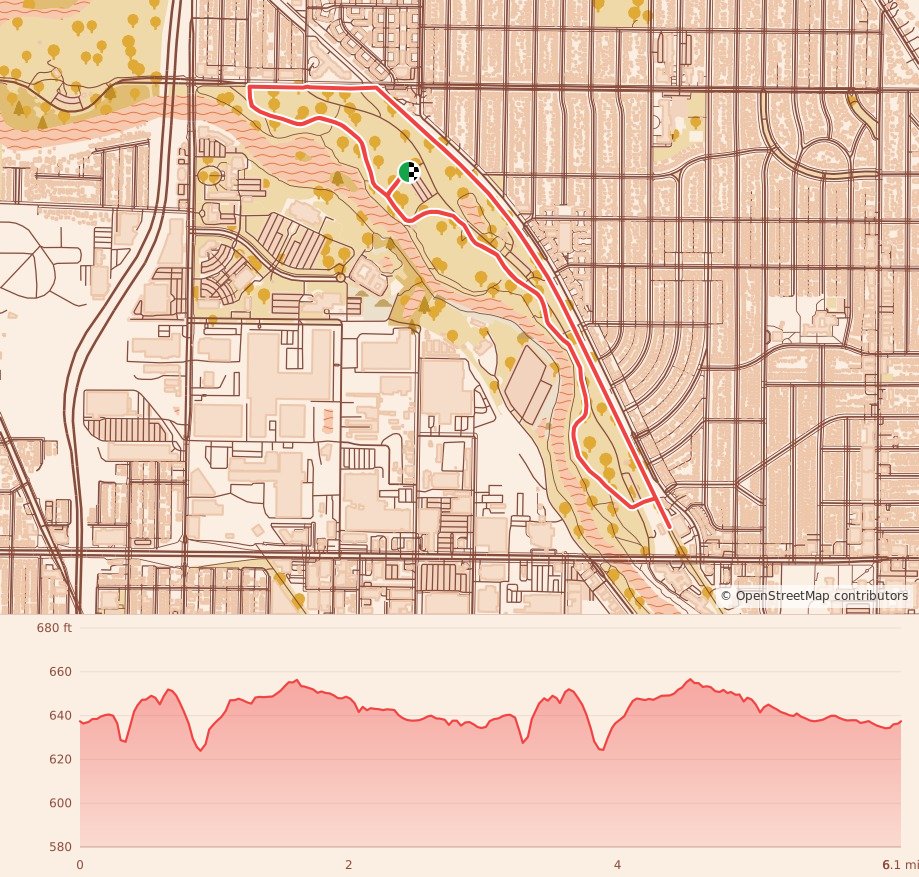 Run Into the New Year - 10K course map and elevation profile