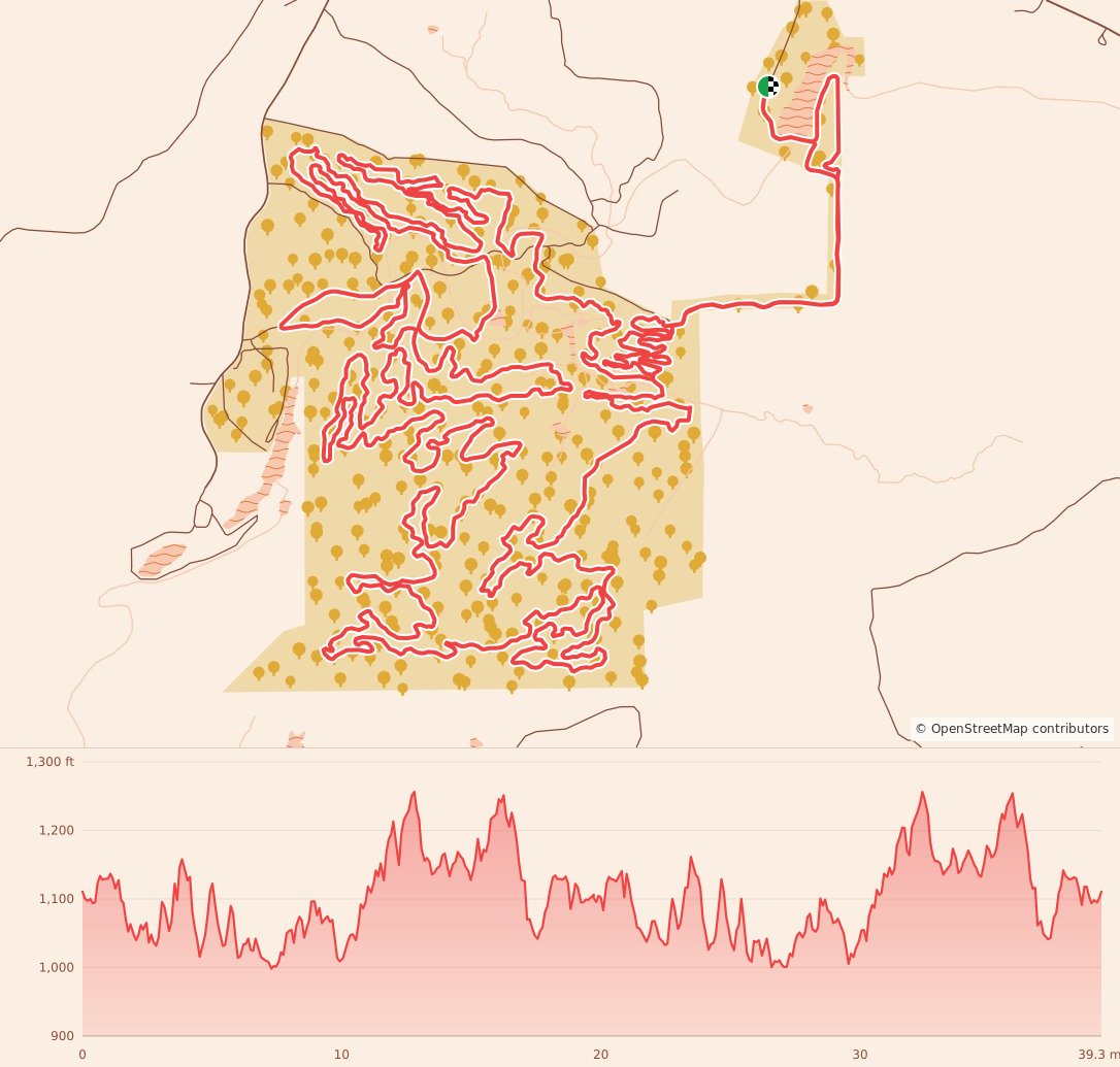Austin Rattler MTB - 40 Mile course map and elevation profile