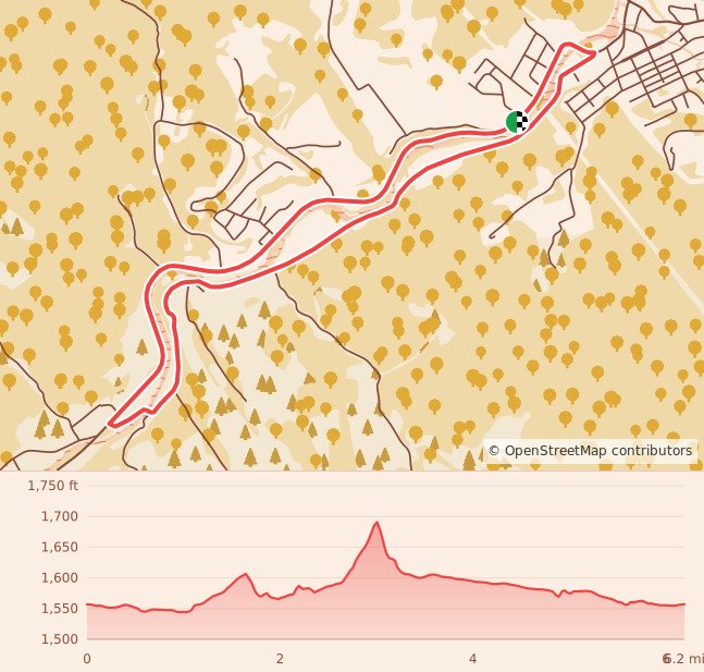 Wolf Creek Runs Wild - 10K course map and elevation profile